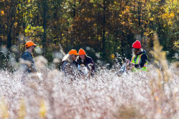 volunteers collecting seeds in field