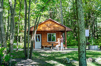 log-sided camper cabin in the woods