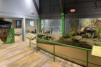 new exhibits inside visitor center with wood floors