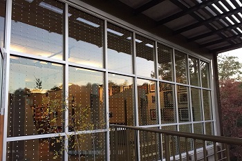 a large front window with criss-cross white mullions and closely set vertical strips of vinyl dots, reflecting a fall trees scene
