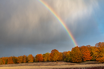rainbow over field with trees with fall color