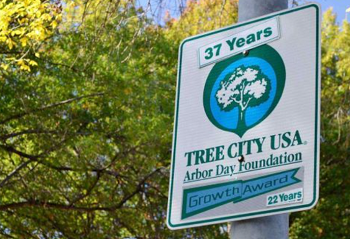 A blue, green and white street sign, with the words Tree City USA and Arbor Day Foundation, plus a smaller tag reading 37 years