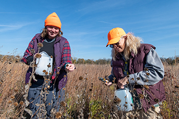 two women in flannel, fall jackets and hunter orange hats hold white plastic jugs as they collect seeds from tall, dry grasses