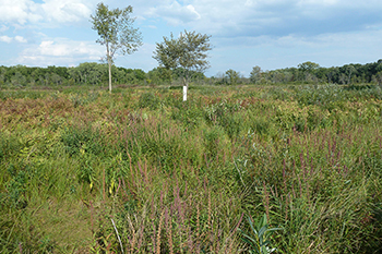 Highland Recreation Area site in 2012