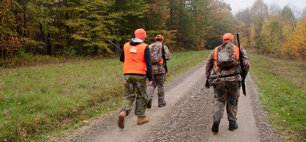three people dressed in camo and hunter orange, toting rifles, walk away on a two-track dirt road, surrounded by mature forest