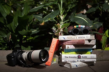 binoculars atop a small stack of birding books, next to a camera with a huge zoom attachment, on a low wall in front of dark green plants