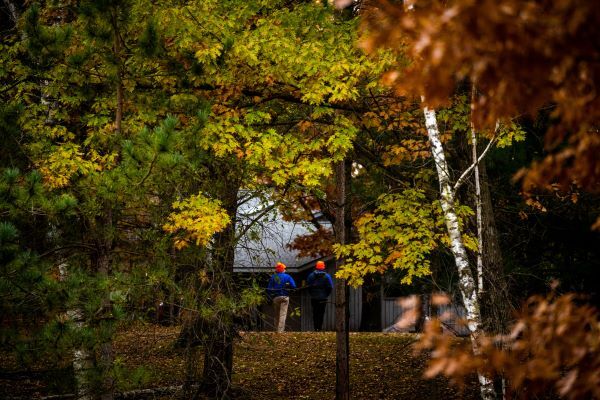 Two hikers with bright orange hats on walk away through the forest.