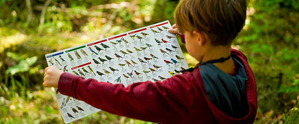 child holding up birder brochure along trail