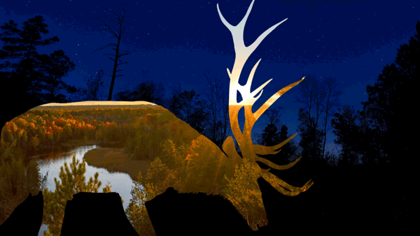 An animated gif of the silhouette of an elk tilting its head to the night sky.