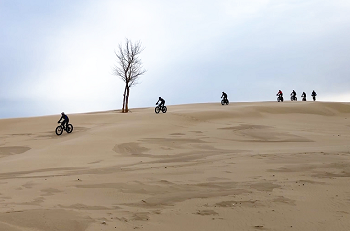A lone tree stands on a large sand dune, as a spread-out, single-file line of bike riders off in the distance ride across the dune