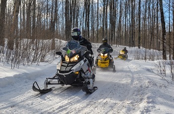 three riders on sleek gray and yellow snowmobiles ride single file on a curving, groomed, snowy trail through forested area