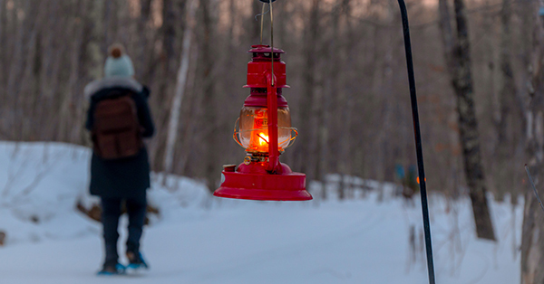 red lantern hanging from hook in snowy forest