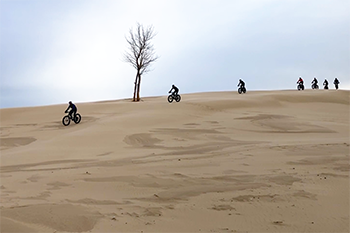 row of fat-tire bicyclists on sand dune