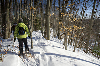 person snowshoeing on forest trail