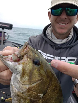 A jaw tag is shown in the mouth of a smallmouth bass at Lake St. Clair.