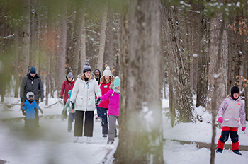 visitors ice skating through the woods on iced trail