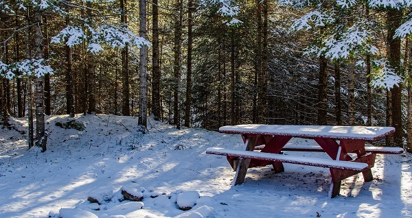 light snow covers a red picnic table, the ground and edges of tree branches in the forest, with sunlight filtering through