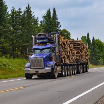 A blue logging truck loaded with wood travels down a highway