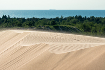 wind-swept sand dunes