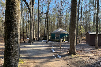 yurt sitting in woods with a trace of snow left