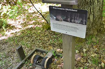 trailhead boot brush and sign