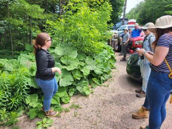 To the left, a woman stands near plants with large, round leaves at the edge of a parking lot. Several people stand in front of cars.