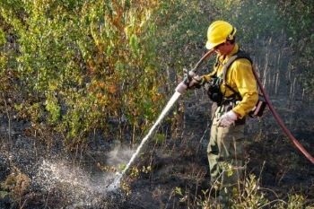 A man in firefighting suit and yellow hardhat hoists an orange hose over his shoulder while spraying a smoldering grassy area