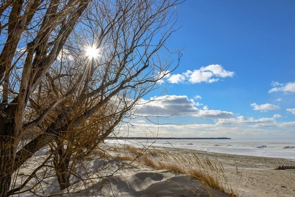 bright sun breaks up crisp blue sky along snow-dusted, sandy, tree-lined shoreline of a big expanse of wavy water