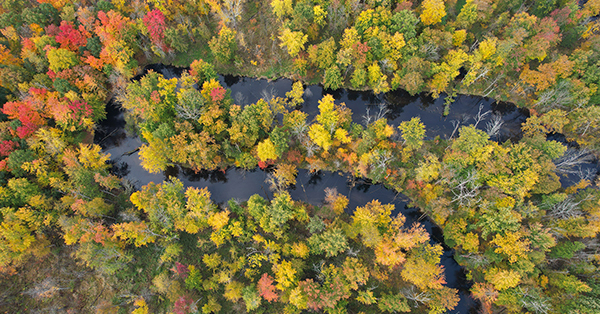Aerial photo of Paw Paw River winding through new state game area