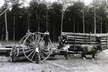 Historical photo, circa 1922. A half-dozen men with a massive cart and loaded, cut logs piled on a flatbed. Otsego County, west of Gaylord.