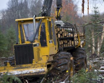 A timber harvester uses heavy machinery to work in the forest