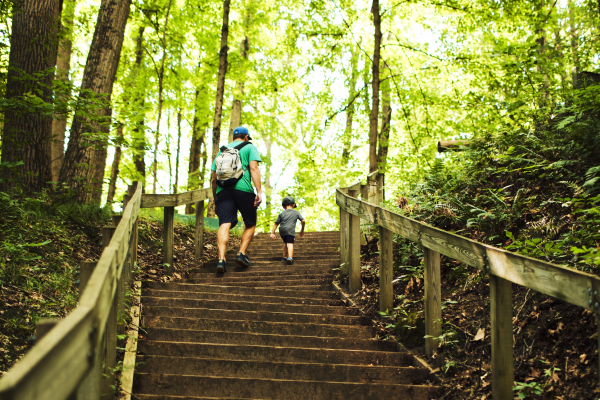 A child and adult near the end of a set of wood stairs leading to a bright forest beyond.