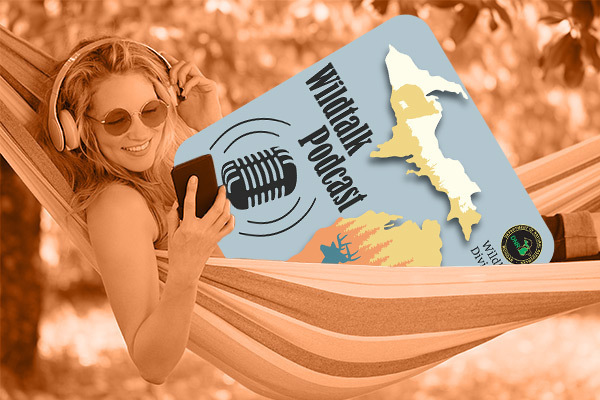 A woman relaxes in a hammock with the Wildtalk Podcast logo by her side. 