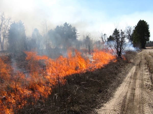 A prescribed burn is conducted to restore wildlife habitat.