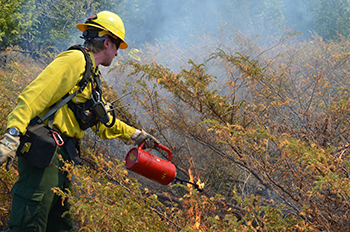 A DNR employee burning brush with small red canister