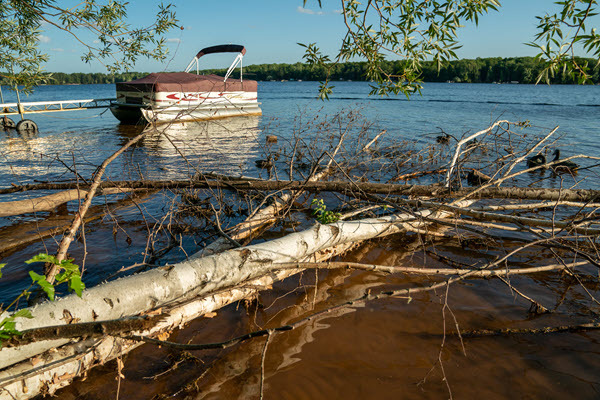 A fallen log rests on a lakeshore with a pontoon docked in the background