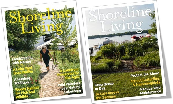Pictures of two Shoreline Living magazines, each featuring a picture of a vegetation lake shoreline