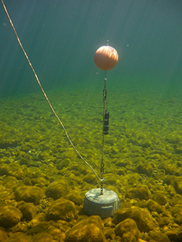 acoustic receiver anchored underwater