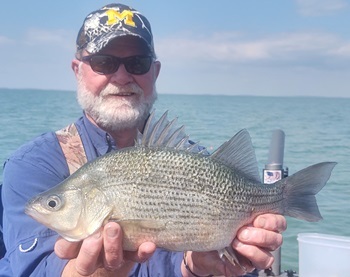 A person with a bushy, white beard and a U of M hat proudly holds a large white perch toward the camera.