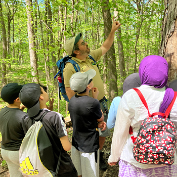 A group of students listen to a DNR educator