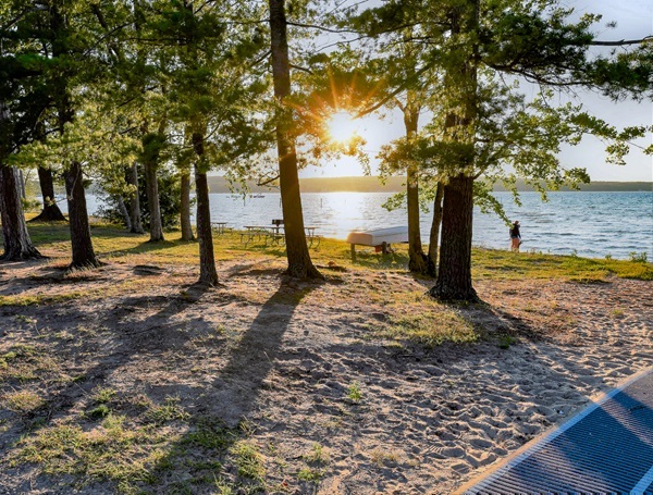 The late afternoon sun dazzles through old-growth trees along a sandy shoreline.