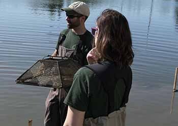 DNR Fisheries staffer holds a red swamp crayfish trap at a pond