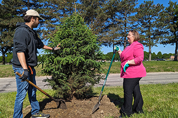 DNR forester helps volunteer with tree planting project