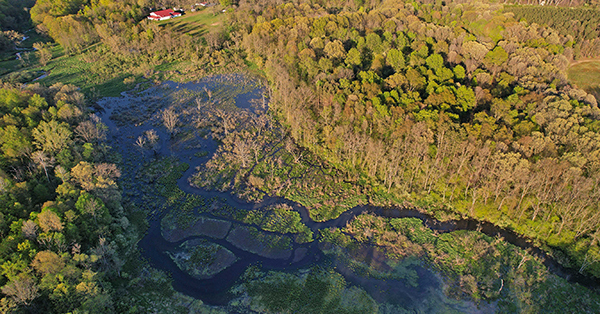 An aerial view of the former Boys and Girls Club of Kalamazoo Camp in Hastings