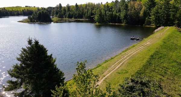 aerial view of a large, deep-blue body of water, with a low grassy shore on one side and mature pines all around the edges