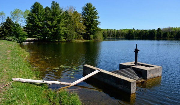 A small, square, concrete and metal dam structure sits nearshore in a calm, expansive body of water. Mature pines in background with blue sky