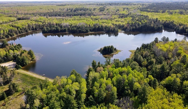 aerial view of a large, deep-blue body of water, surrounded by dark- and light-green forest and with a small forested island nearshore.