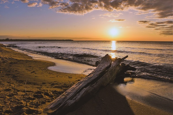 Driftwood on the sandy shore, as the bright golden sun rises over a calm, deep-blue lake. Thin, puffy clouds frame the right side.