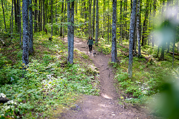 Woman walking her dog on the trail at Bewabic State Park