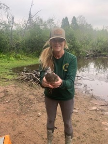 Wildlife biologist, Heather Shaw, holds a female wood duck during waterfowl banding. 